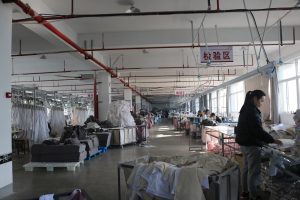 Read more about the article Creating a Positive Work Environment: How Our Team Thrives Together